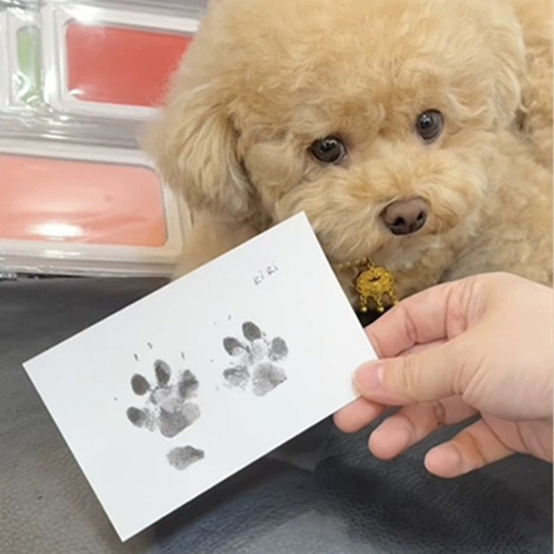 BowLift | Pet Paw Printing Kit