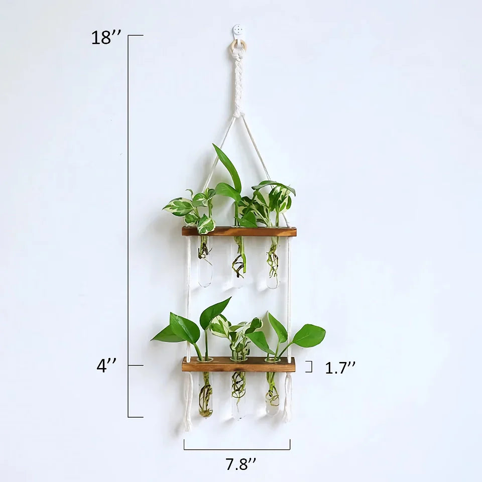 BowLift | Elegant Wooden Hydroponic Wall Vase