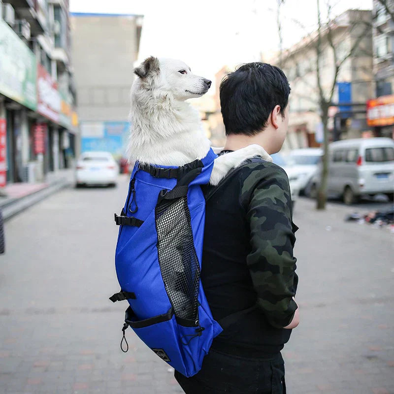 BowLift | Dog Backpack – Comfortable Carrying Bag for Medium Dogs with Safety Strap and Storage Pockets