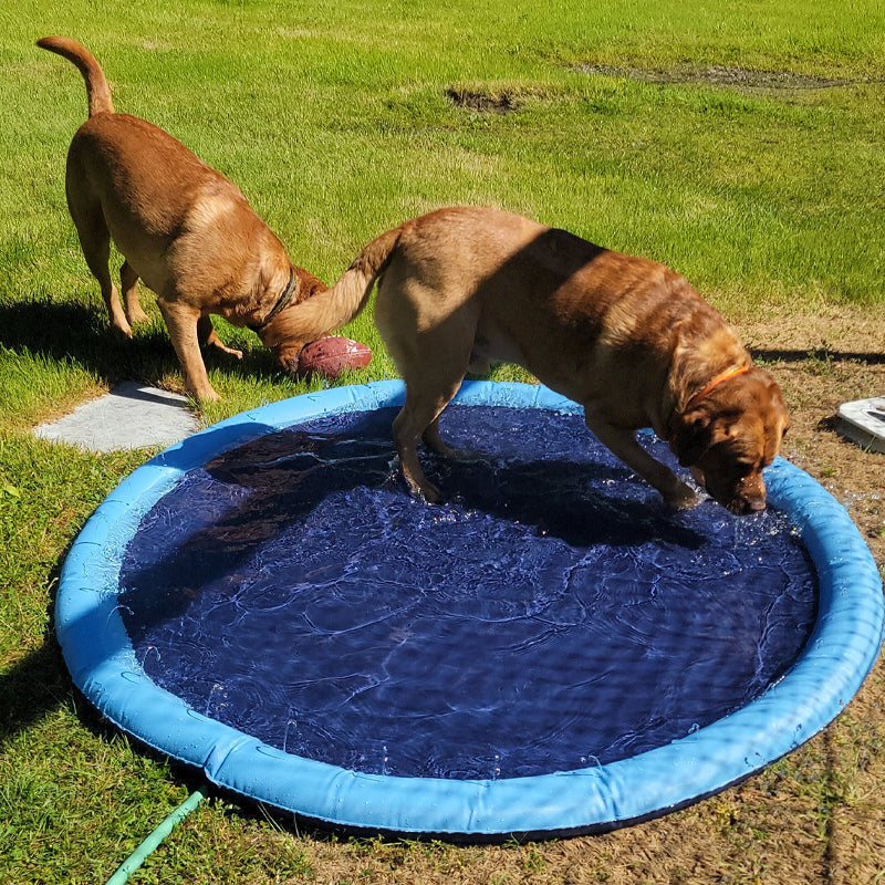 BowLift | Folding Pet Bathing Pad