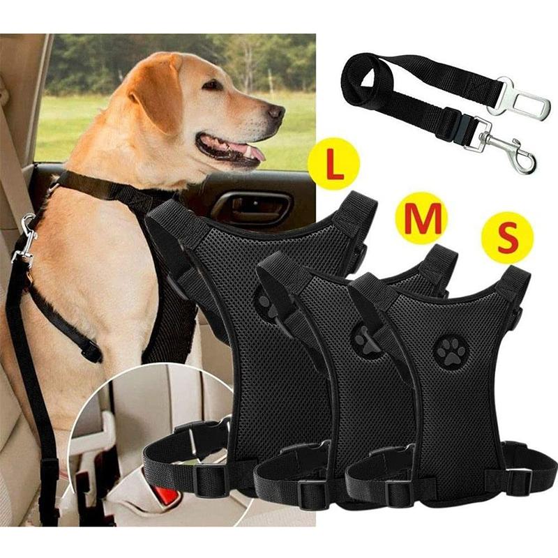 BowLift | Dog Safety Harness Set