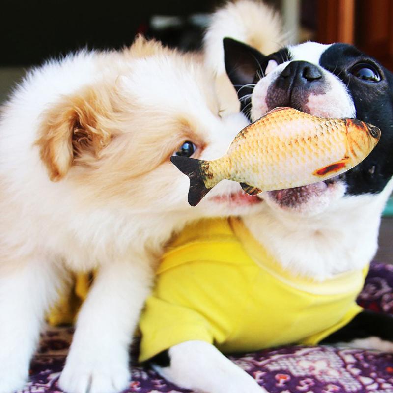 BowLift | Electric simulation fishing toys for pets