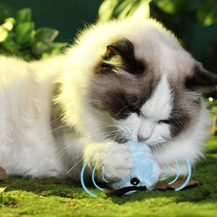 BowLift | β smarter interactive plush ball for cats | buy 1, get 1 free π