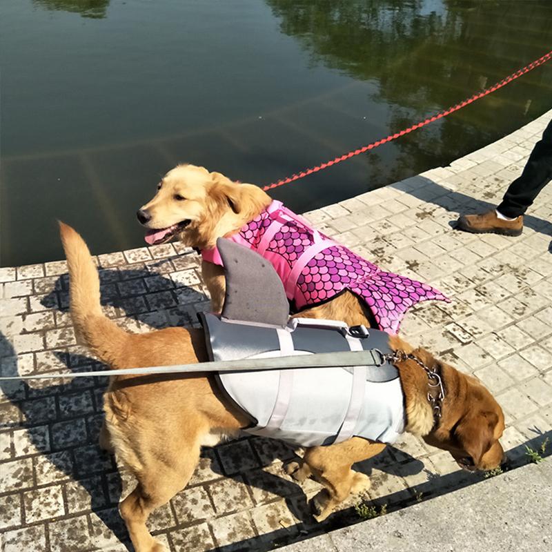 BowLift | Dog Swim Safety Jacket