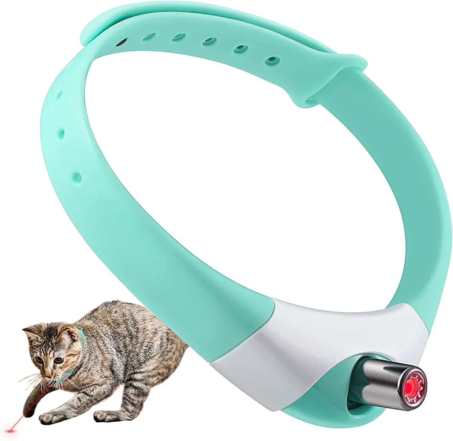 BowLift | PurrCollar™ Engaging Cat Activity