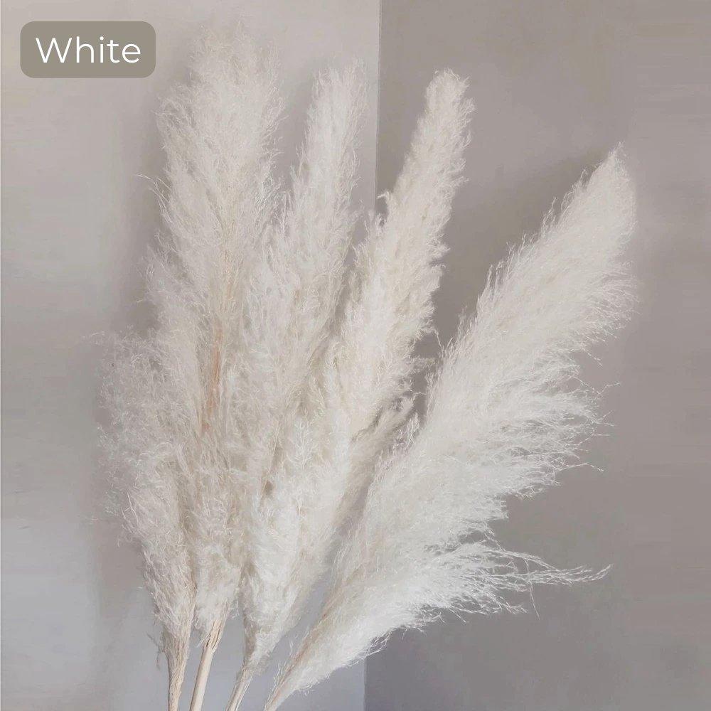 BowLift | 80 cm natural, real dried pampas grass bouquet (white / beige / gray) │ fluffy feather for modern boho home decor
