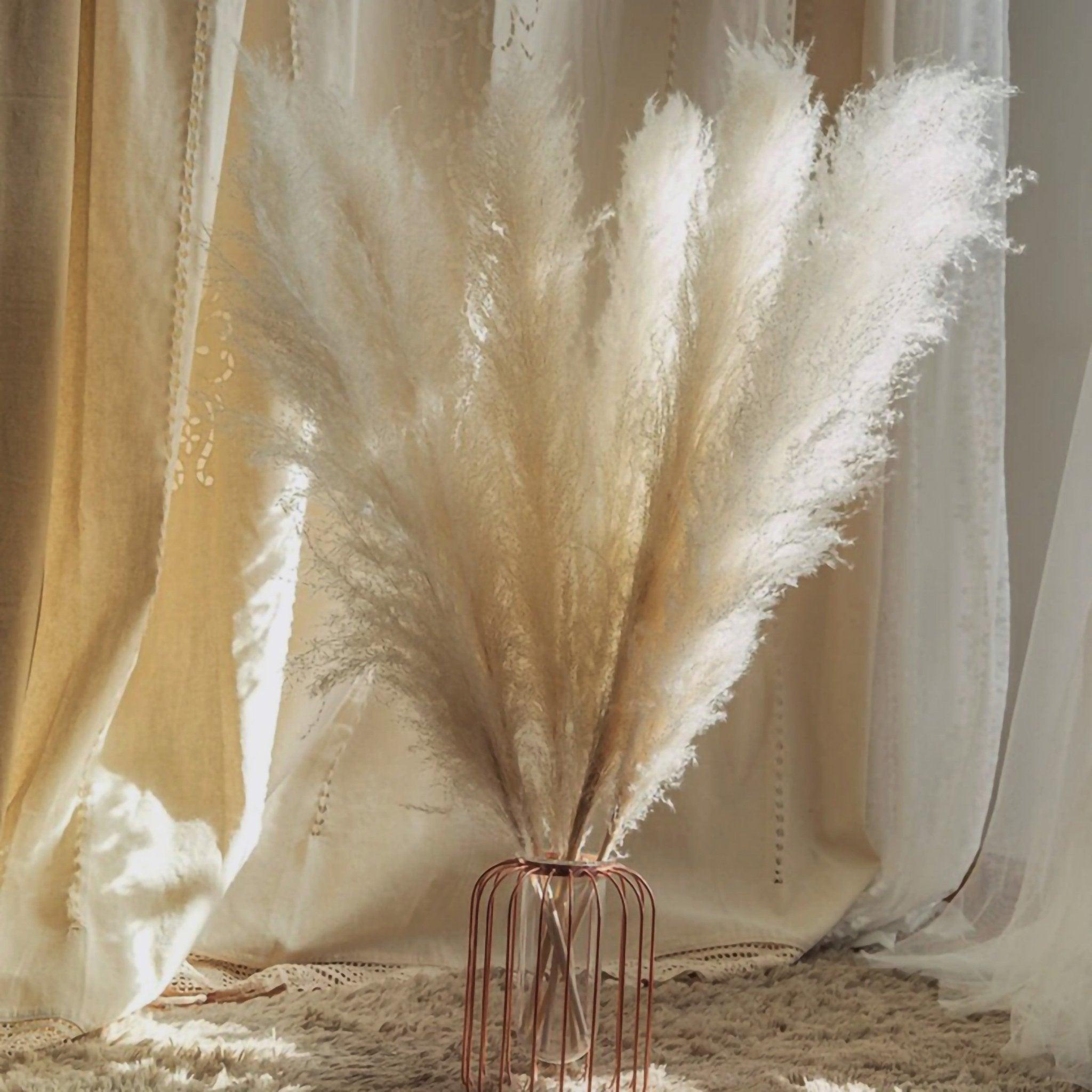BowLift | 80 cm natural, real dried pampas grass bouquet (white / beige / gray) │ fluffy feather for modern boho home decor