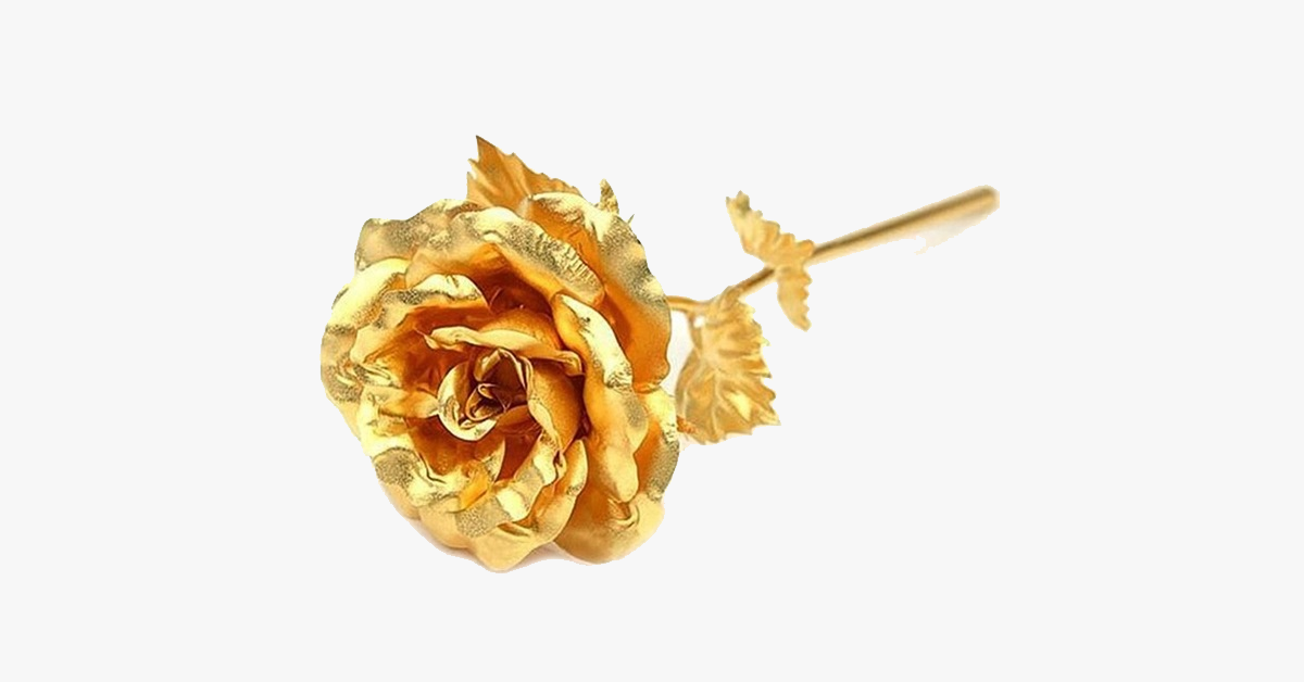 BowLift | 24K gold-plated real rose with gift box