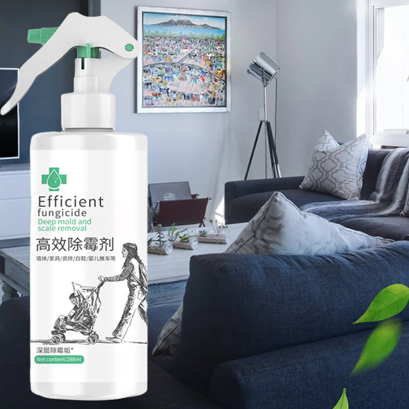 BowLift | High-Efficiency Mold Remover