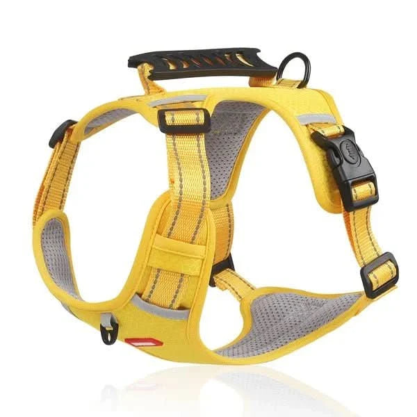 BowLift | anti-pull dog harness for pain-free walks