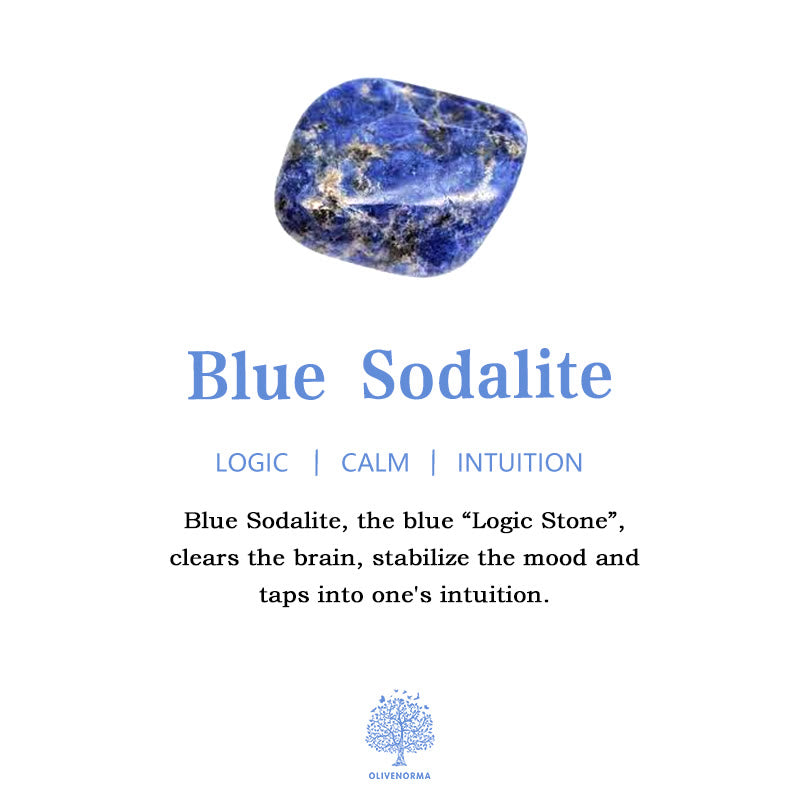 BowLift | Frendorf 2.5 Inch Crystal Dinosaur Home Decoration Gemstone Decor