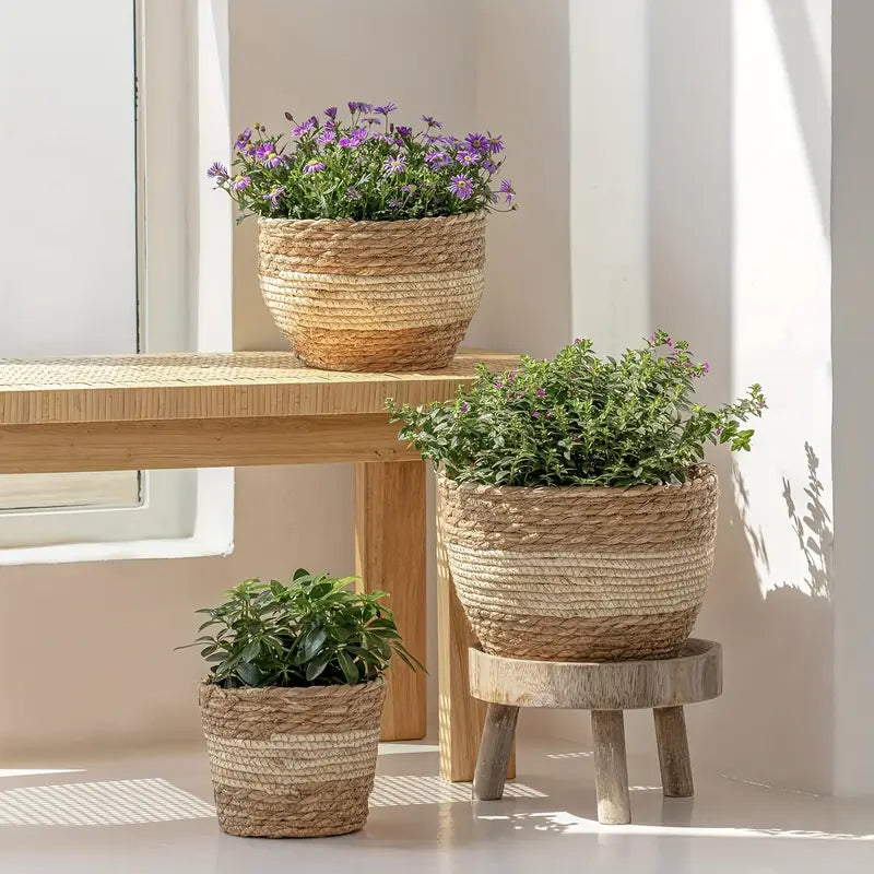 BowLift | Decorative plant baskets made of seagrass in a set of 3 – Handwoven flower pots with foil insert