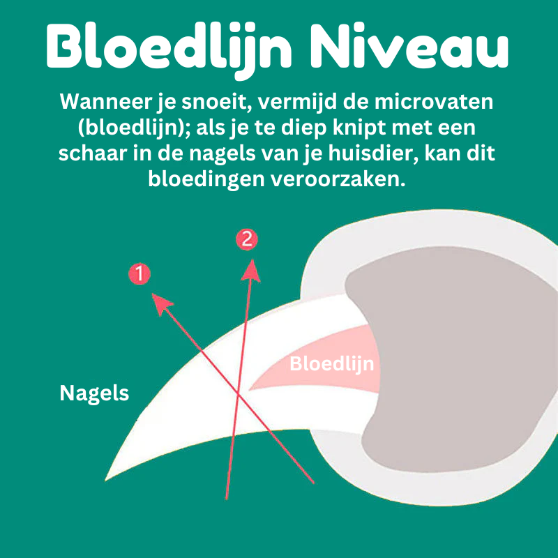 BowLift | MAX - The best nail clippers for dogs with quick sensors