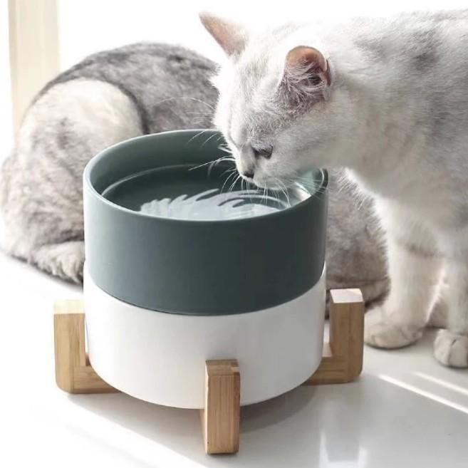 BowLift | Ceramic Feeding Bowls