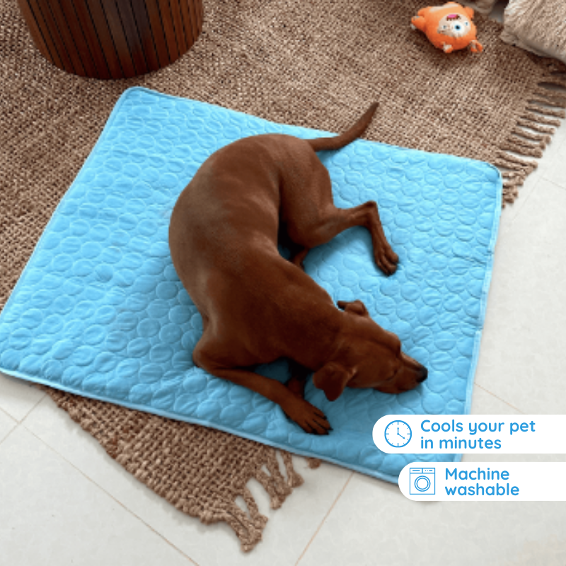 BowLift | Self-Cooling Mat for Four-Legged Friends Ideal for Hot Summer