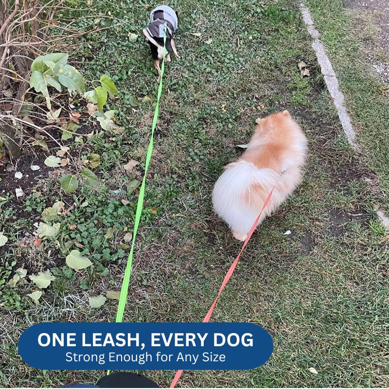 BowLift | 10FT Dual Retractable Dog Leash with Built-In Flashlight & Waste Bag Holder