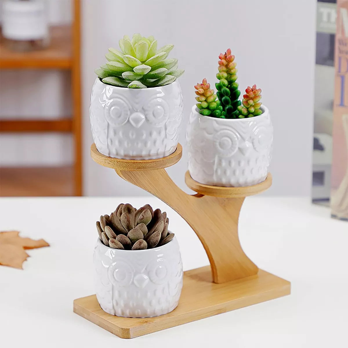 BowLift | Decorative plant stand made of wood – plant pots in owl design for succulents and indoor plants