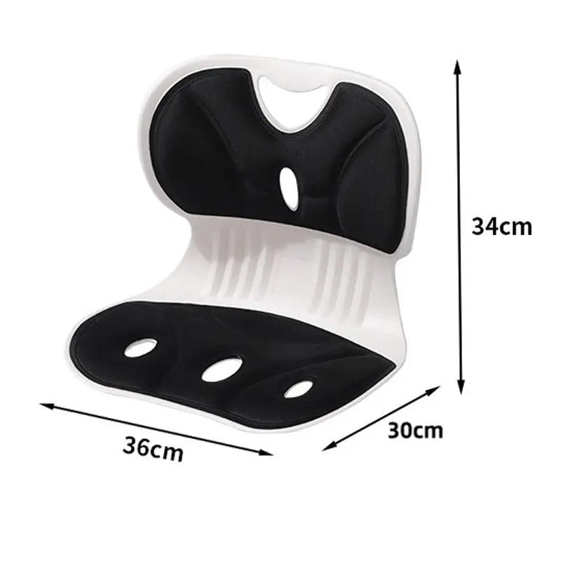 BowLift | Ergonomic Lumbar Support Cushion