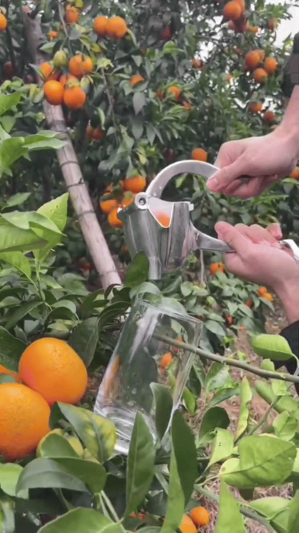 BowLift | Fruit Juice Squeezer