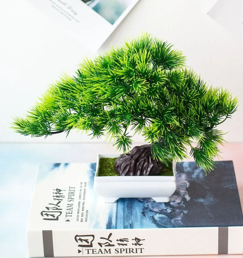 BowLift | Small Tree Pot Bonsai Plants