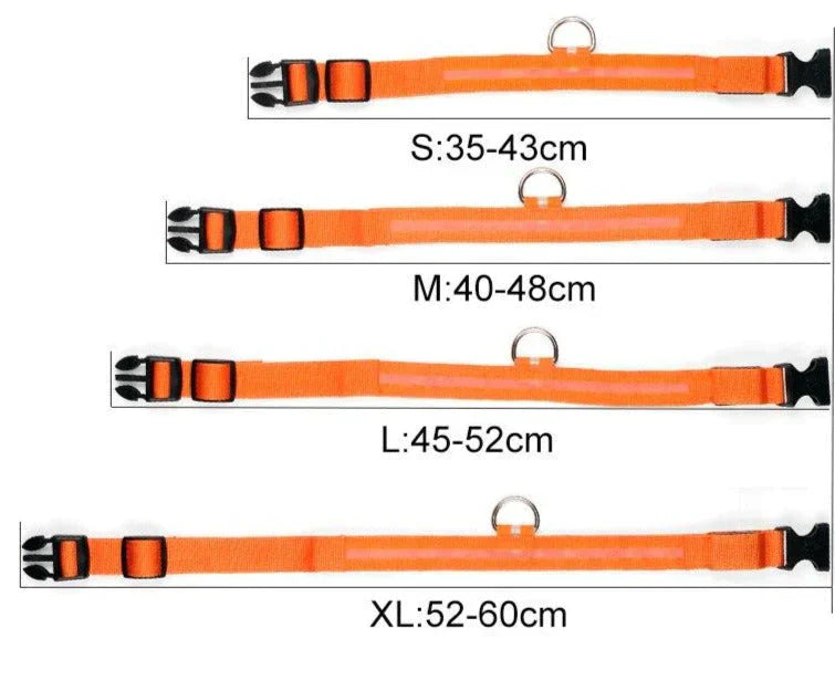 BowLift | GlowPets LED Collar – Safety & Visibility for Pets