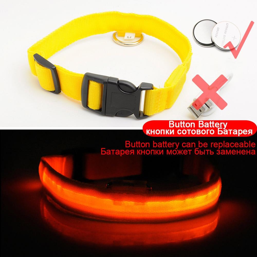 BowLift | Light Up Dog Collar - Flashing Dog Collar