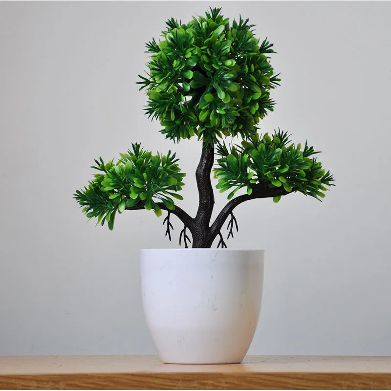 BowLift | Small Tree Pot Bonsai Plants
