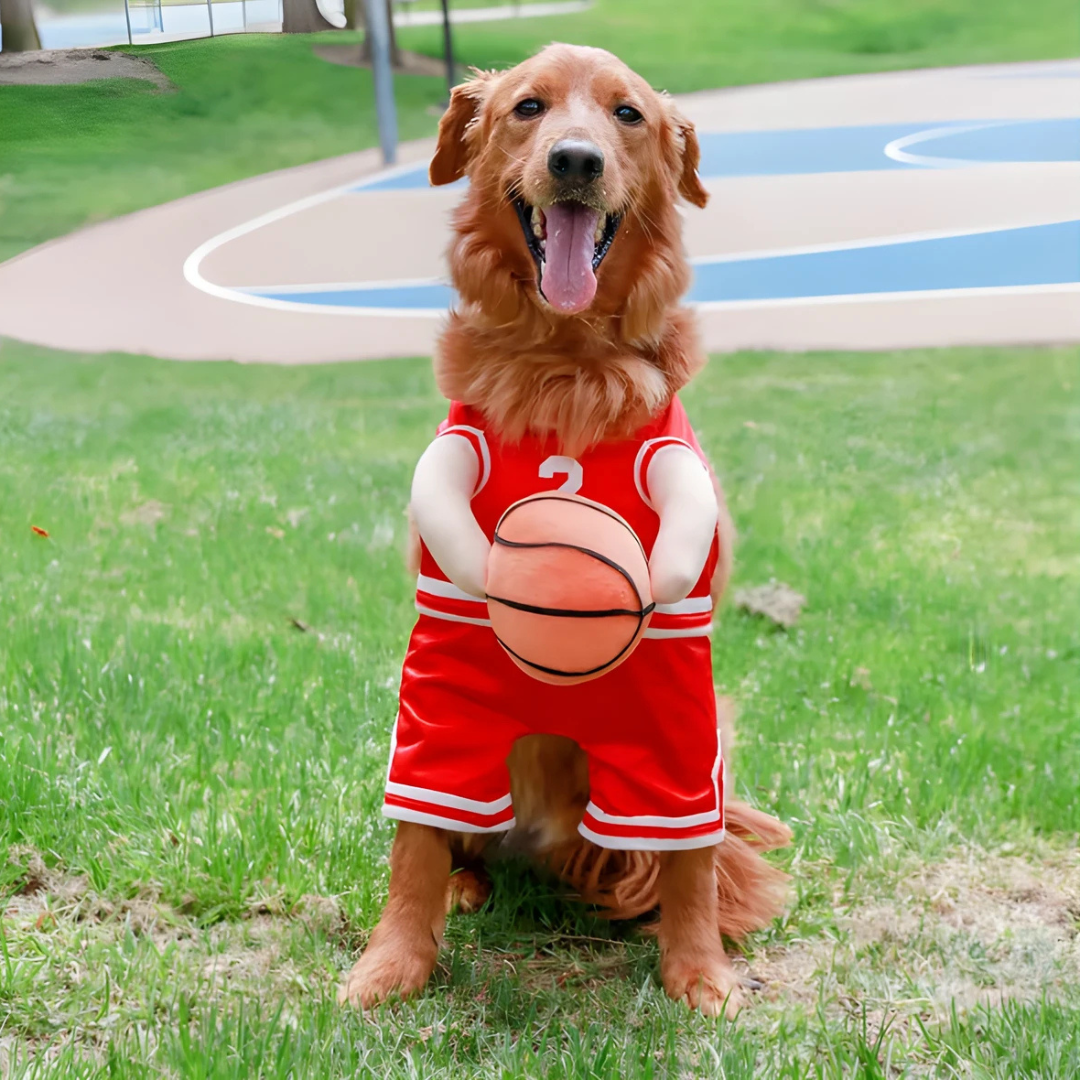 BowLift | Halloween Dog Costume Basketball Outfit