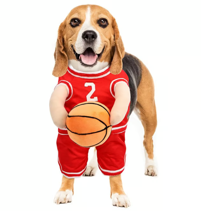 BowLift | Halloween Dog Costume Basketball Outfit