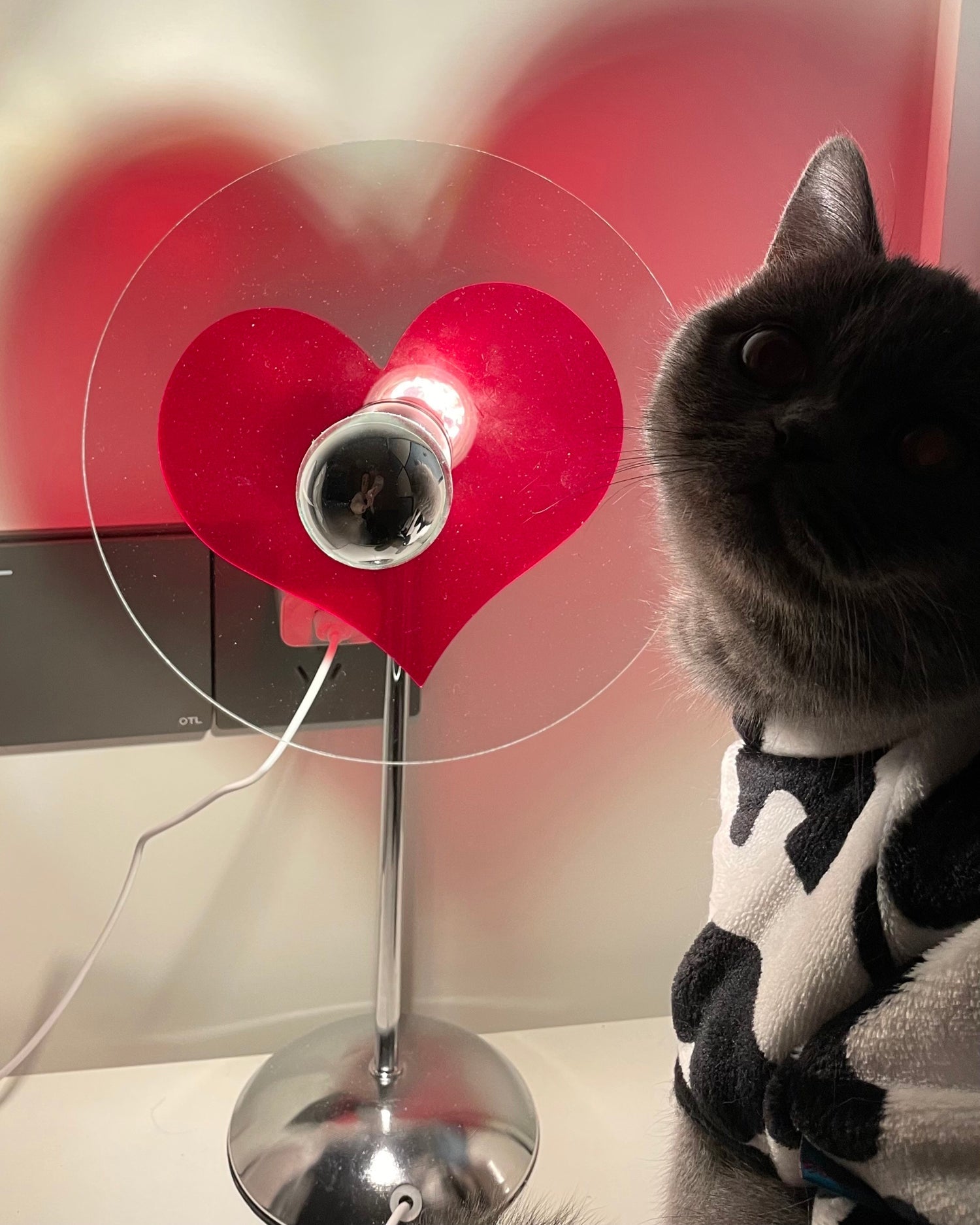 BowLift | LoveGlow – Elegant Table Lamp with Rechargeable LED