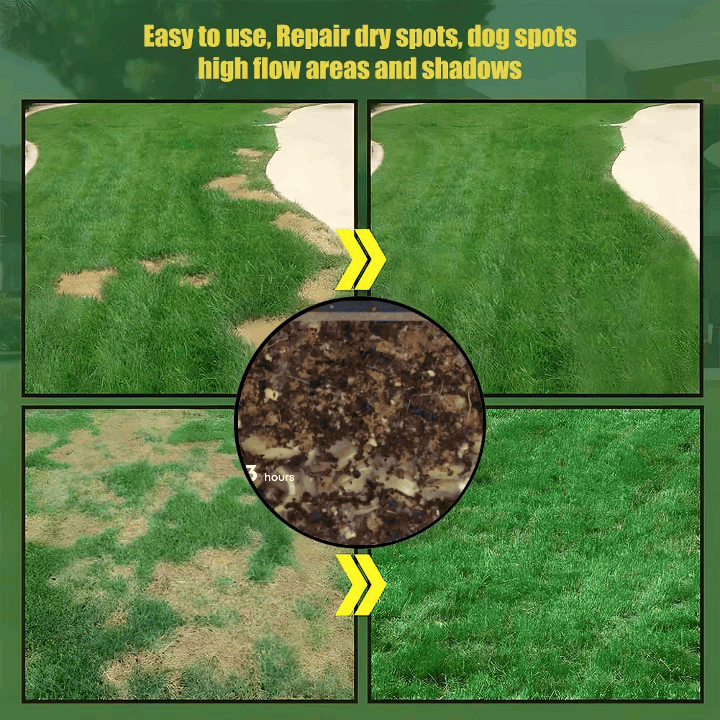 BowLift | Evergreen Grass Seeds – Lusher, greener lawn made easy!