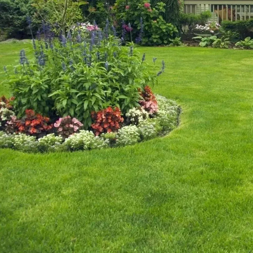 BowLift | Evergreen Grass Seeds – Lusher, greener lawn made easy!