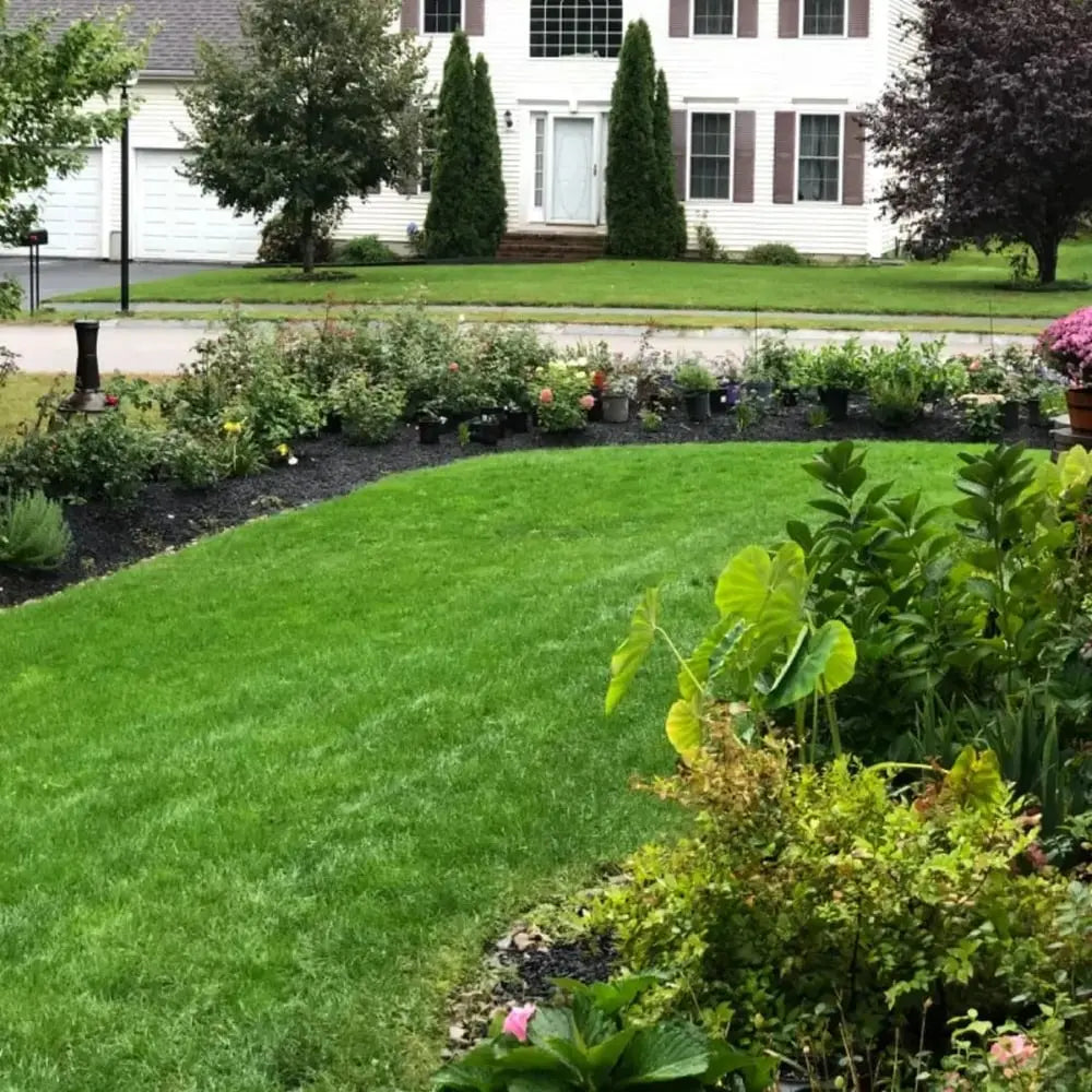 BowLift | Evergreen Grass Seeds – Lusher, greener lawn made easy!
