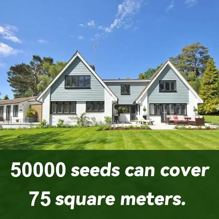 BowLift | Evergreen Grass Seeds – Lusher, greener lawn made easy!