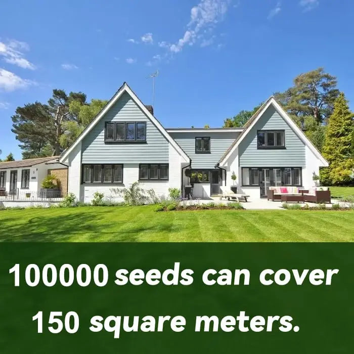 BowLift | Evergreen Grass Seeds – Lusher, greener lawn made easy!