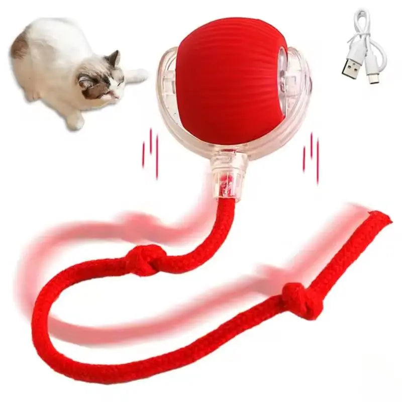 BowLift | Interactive toy for active animals