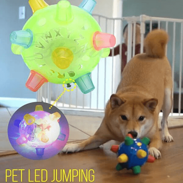 BowLift | Interactive LED Jumping Ball for Dogs