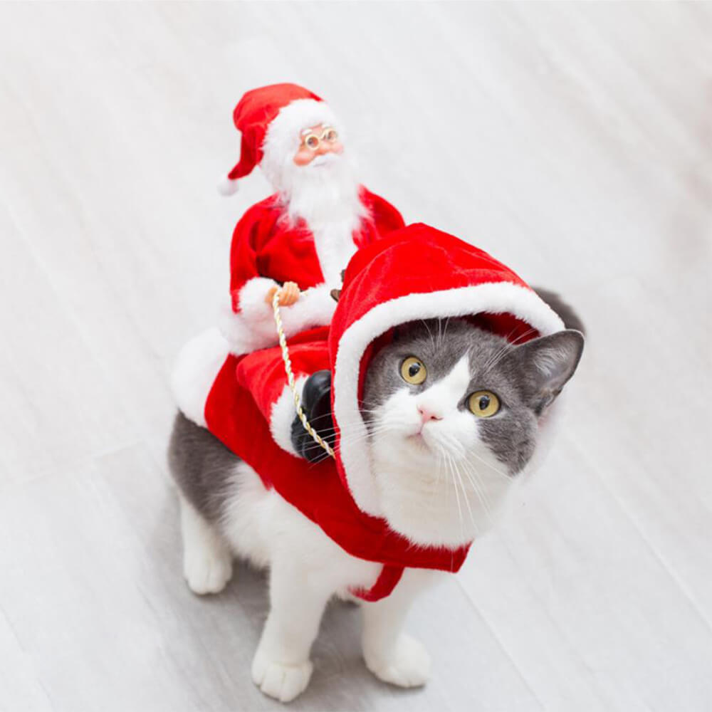 BowLift | Christmas Santa Costume for Dogs – Festive Outfit for your Pet