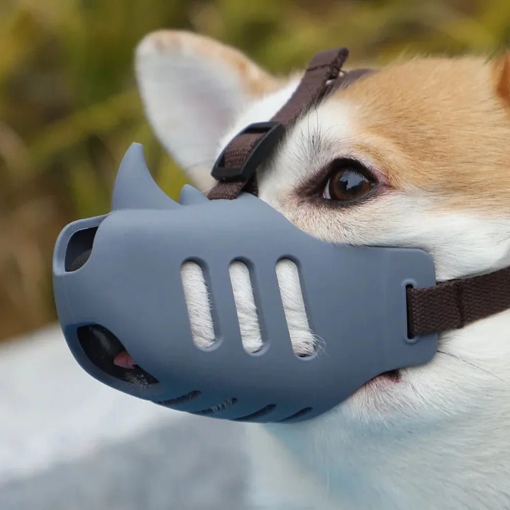 BowLift | Adjustable & Breathable Muzzle for Daily Comfort