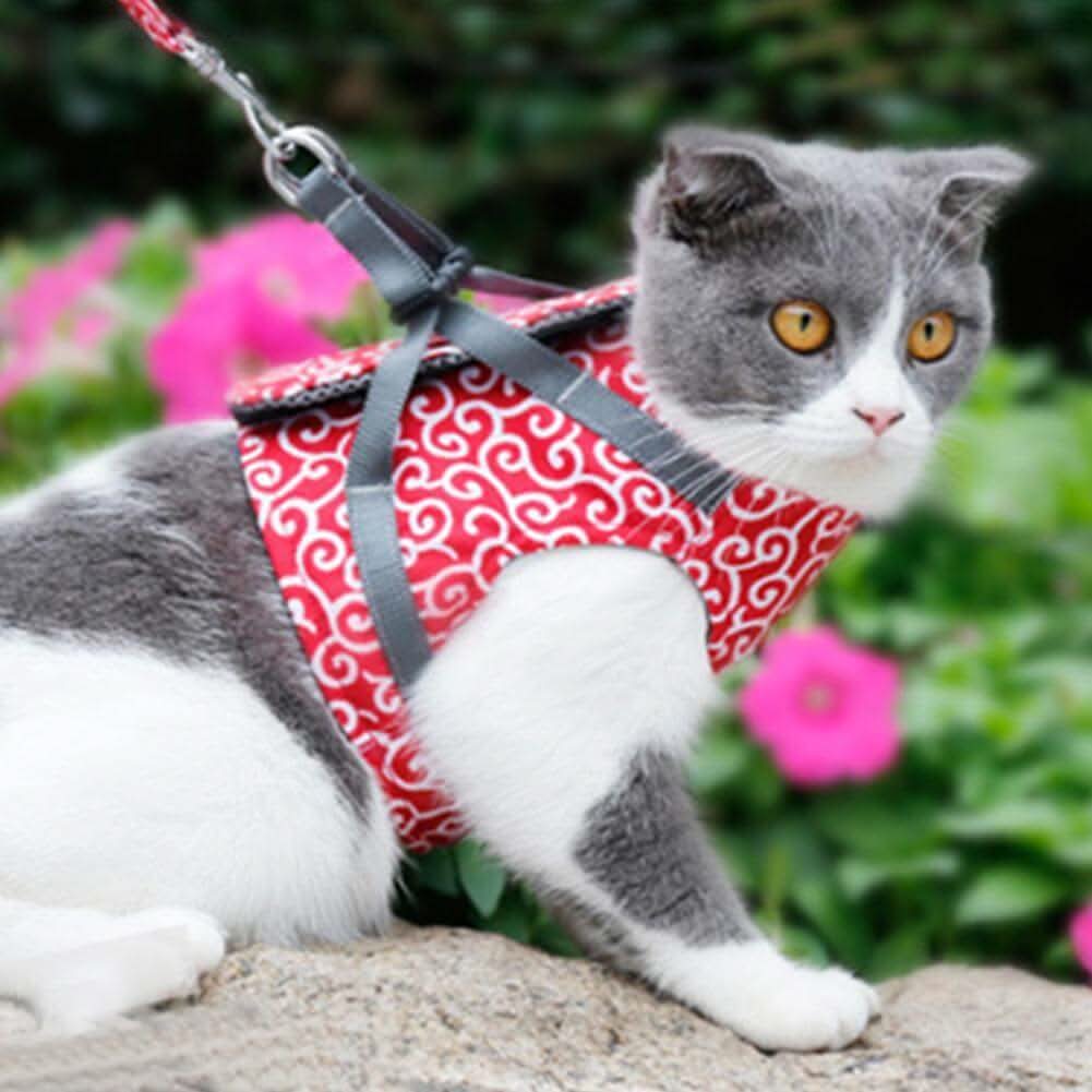 BowLift | Cat Harness Vest for Safety & Comfort