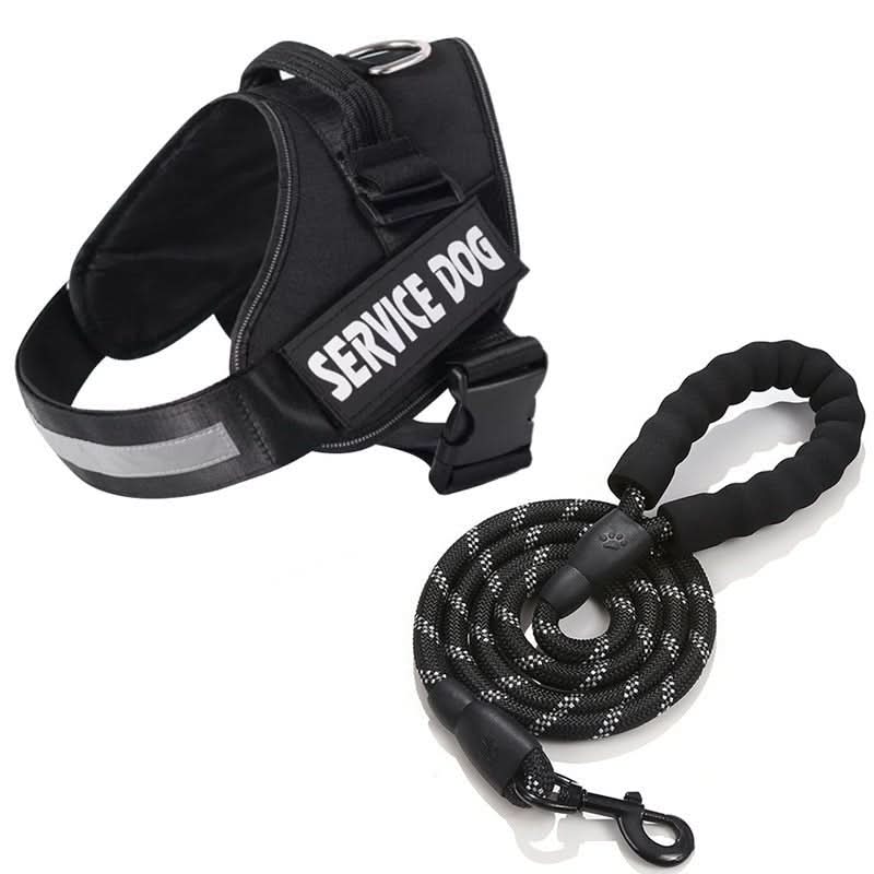 BowLift | Personalisable dog harness for comfort & safety