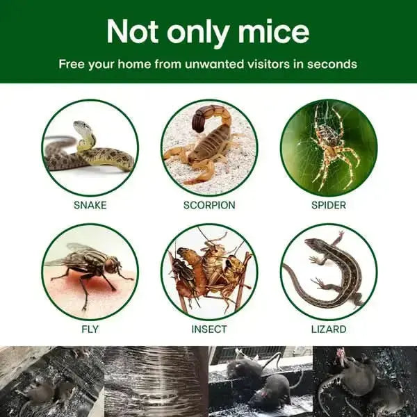 BowLift | Extra Strong Rat Sticky Trap