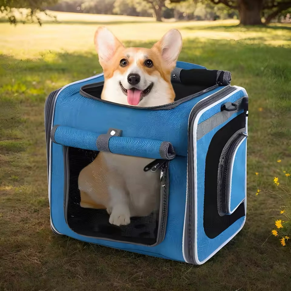 BowLift | Expandable Pet Bike Basket – Comfortable & Safe Bicycle Carrier for Small Dogs and Cats