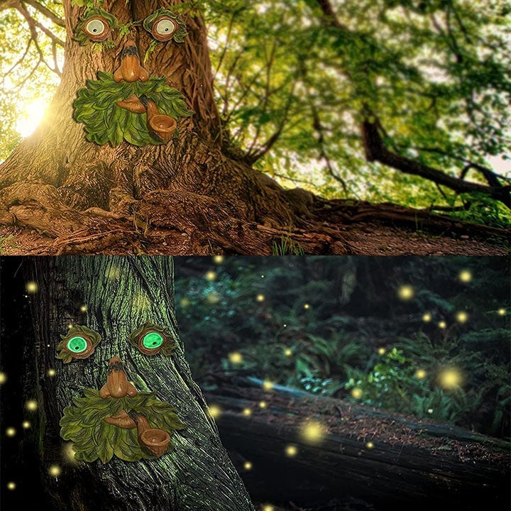 BowLift | Eyes of Nature: Tree Face Bird Feeder Station