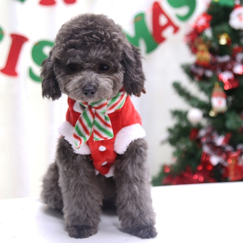 BowLift | Santa Claus Home Winter Pet Costumes