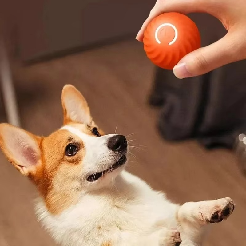 BowLift | USB Rechargeable Interactive Pet Toy Ball for Dogs and Cats