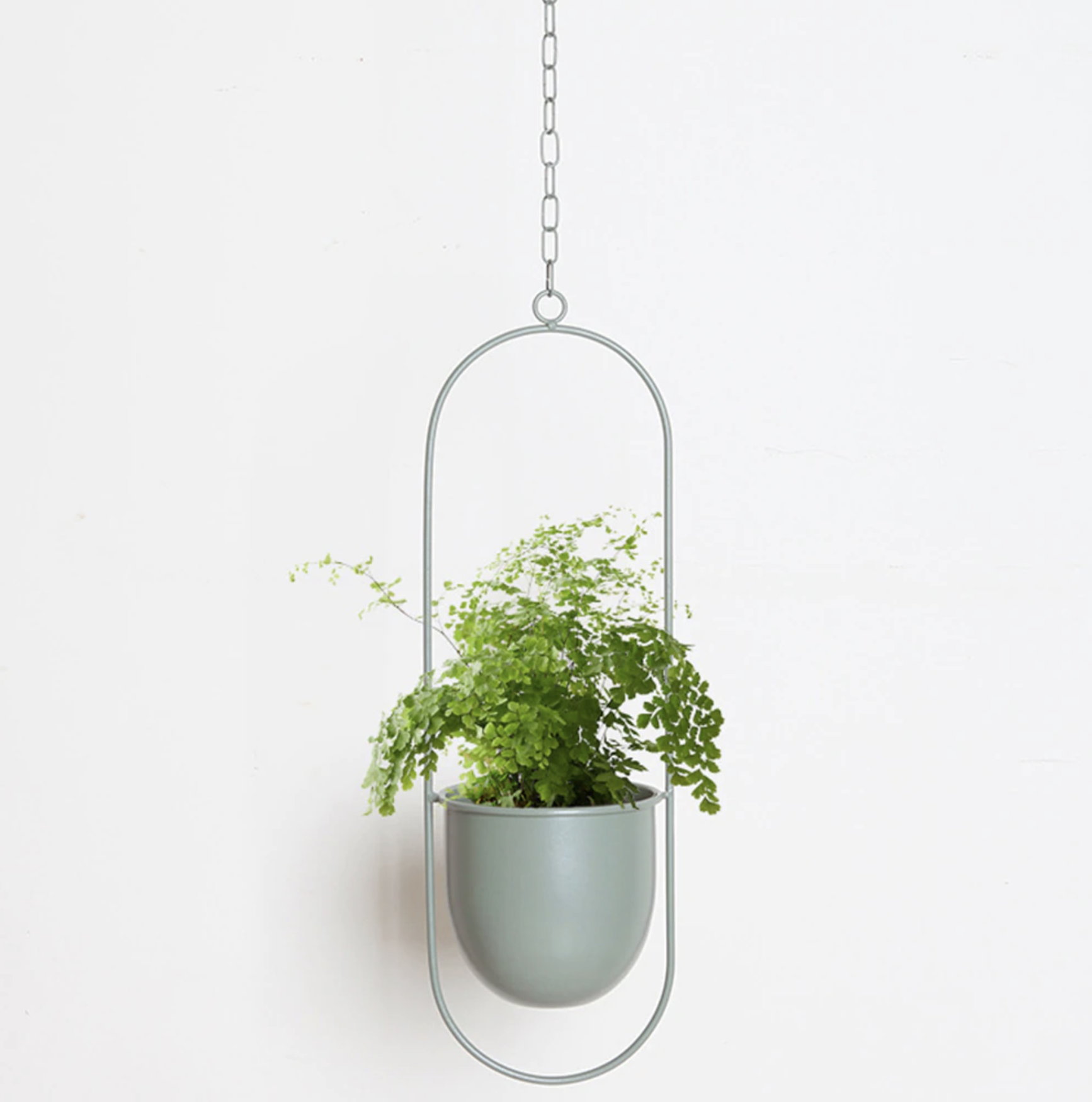 BowLift | FloraFrame – Elegant Metal Plant Holder for Wall or Ceiling