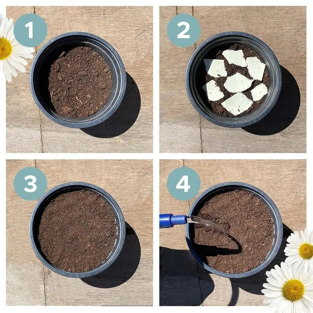 BowLift | Eco-friendly Plantable Seed Calendar 2025 – Grow Year-Round