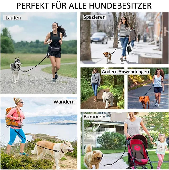 BowLift | Hands-free walking – with leash & bag in one