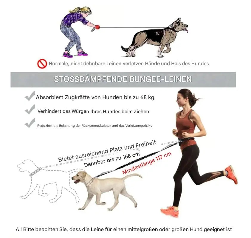 BowLift | Hands-free walking – with leash & bag in one